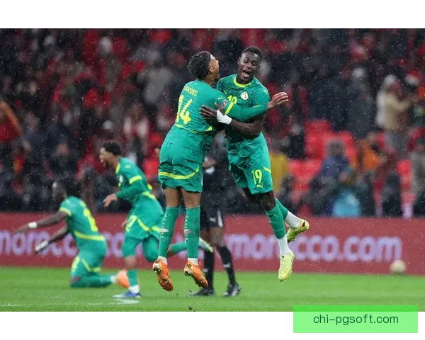 2025年非洲杯决赛尼日利亚战胜摩洛哥成功夺冠再创辉煌