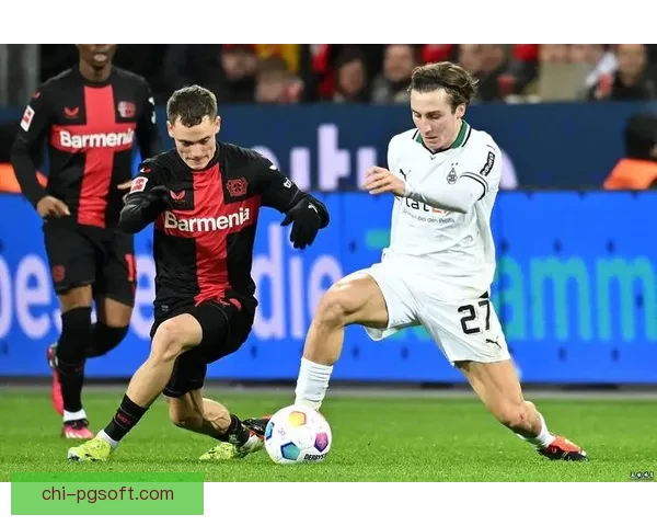 勒沃库森宣布正式签下德甲新星加强阵容实力