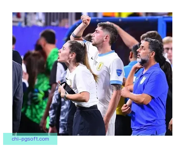 努涅斯对阵德国美洲杯比赛攻防影响力全面深度解读的全景分析报告